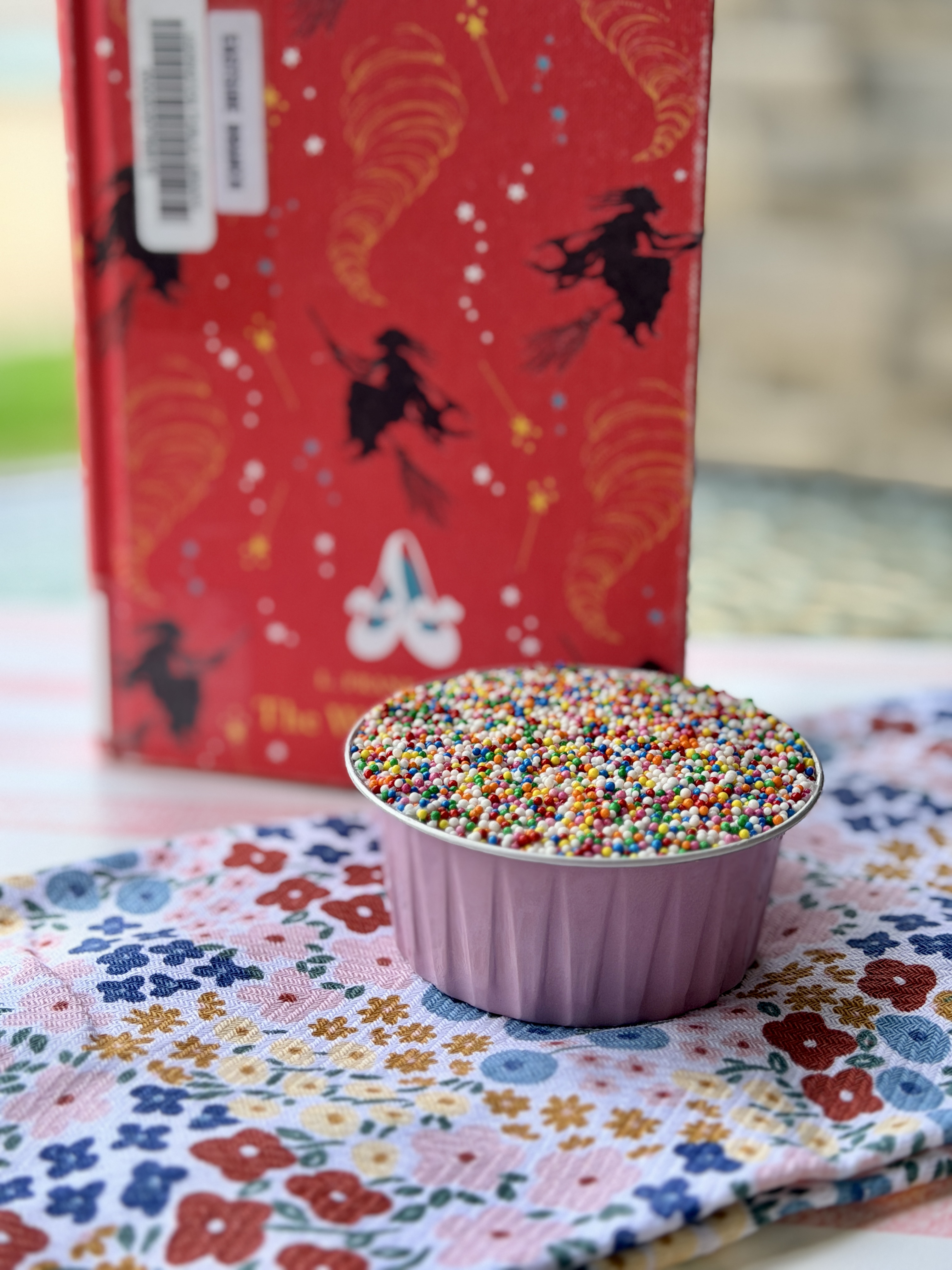 The Dorothy Gale funfetti cake in a jar beside The Wizard of Oz
